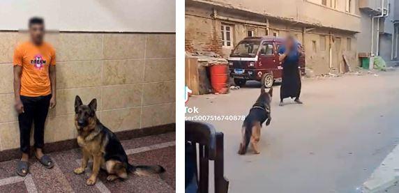 الواقعة