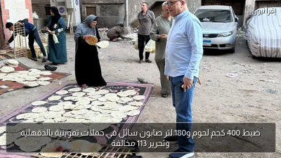 ضبط 400 كجم لحوم و180 لتر صابون سائل في حملات تموينية بالدقهلية وتحرير 113 مخالفة
