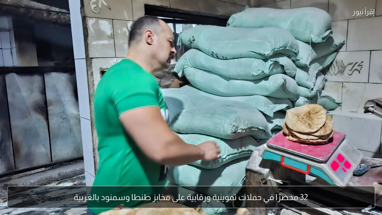 32 محضرًا في حملات تموينية ورقابية على مخابز طنطا وسمنود بالغربية
