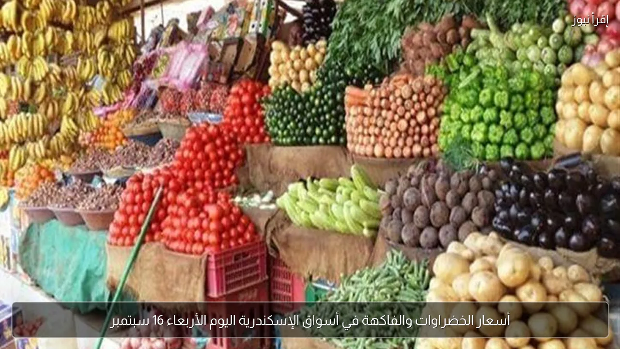 أسعار الخضراوات والفاكهة في أسواق الإسكندرية اليوم الأربعاء 16 سبتمبر