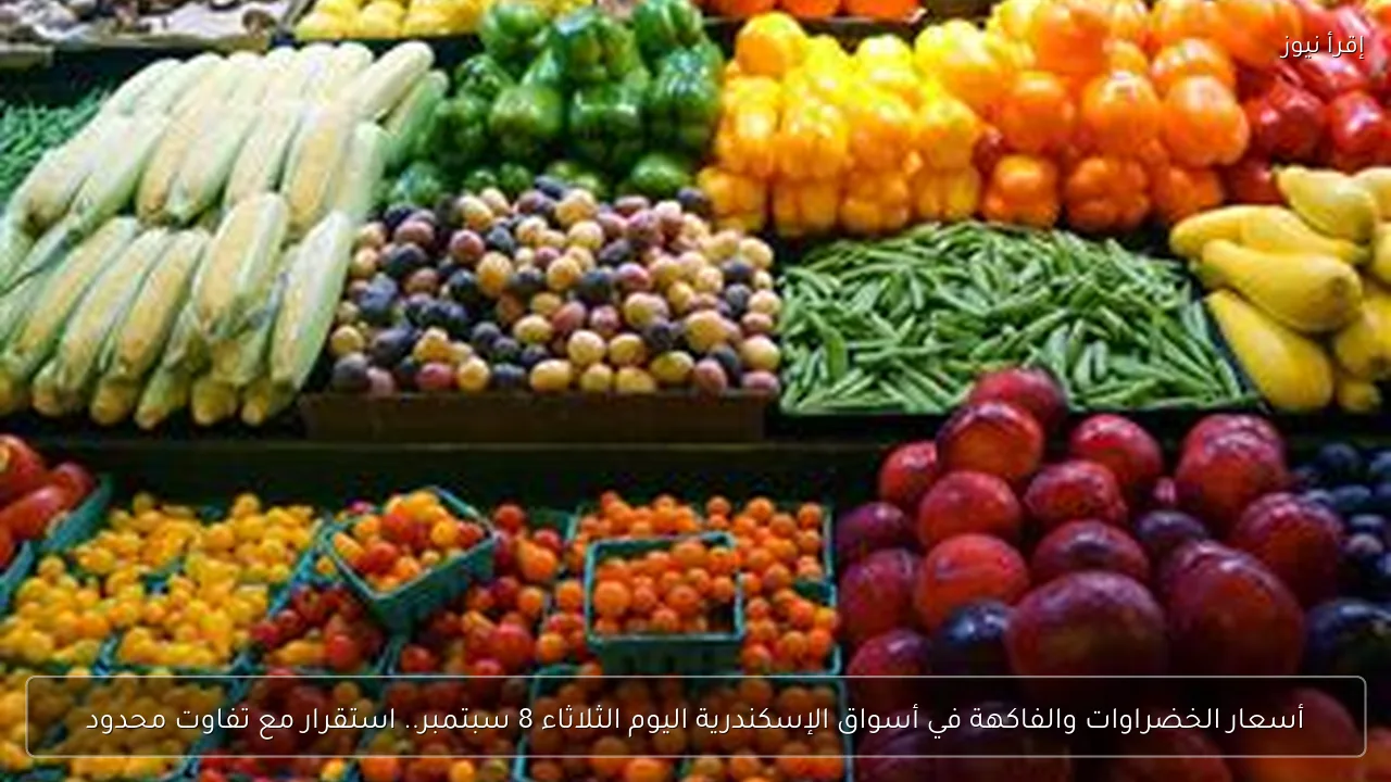 أسعار الخضراوات والفاكهة في أسواق الإسكندرية اليوم الثلاثاء 8 سبتمبر.. استقرار مع تفاوت محدود