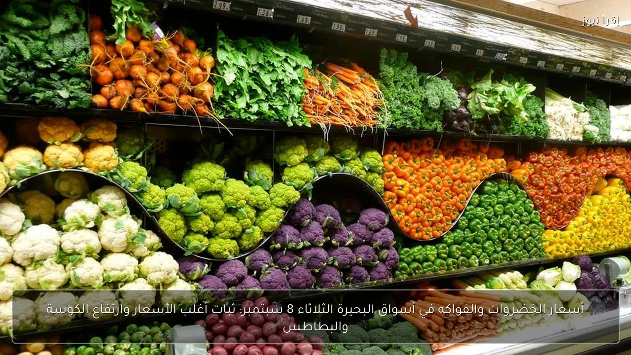 أسعار الخضروات والفواكه في أسواق البحيرة الثلاثاء 8 سبتمبر: ثبات أغلب الأسعار وارتفاع الكوسة والبطاطس