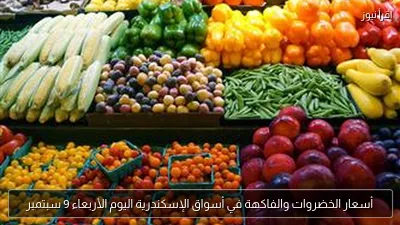أسعار الخضروات والفاكهة في أسواق الإسكندرية اليوم الأربعاء 9 سبتمبر