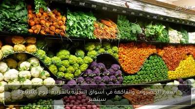 أسعار الخضروات والفاكهة في أسواق التجزئة بالغربية اليوم الثلاثاء 8 سبتمبر