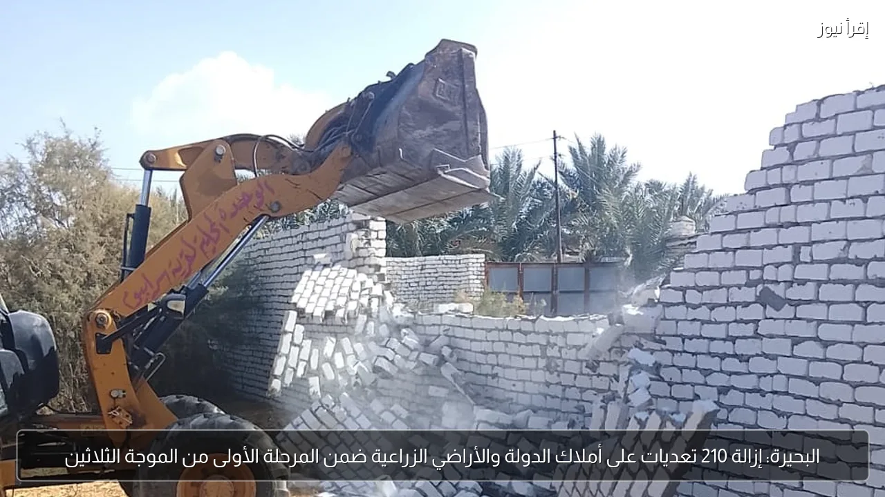 البحيرة: إزالة 210 تعديات على أملاك الدولة والأراضي الزراعية ضمن المرحلة الأولى من الموجة الثلاثين