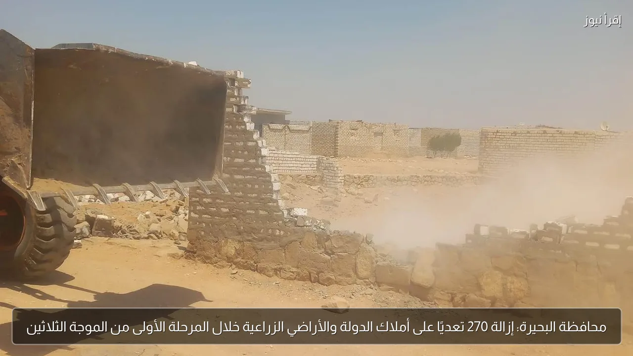 محافظة البحيرة: إزالة 270 تعديًا على أملاك الدولة والأراضي الزراعية خلال المرحلة الأولى من الموجة الثلاثين