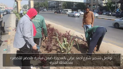 تواصل تشجير شارع أحمد عرابي بالعجوزة ضمن مبادرة «اتحضر للأخضر» بمحافظة الجيزة