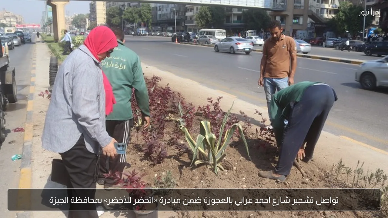 تواصل تشجير شارع أحمد عرابي بالعجوزة ضمن مبادرة «اتحضر للأخضر» بمحافظة الجيزة