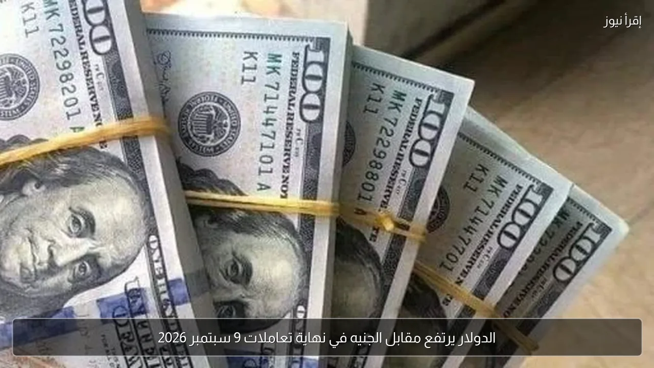 الدولار يرتفع مقابل الجنيه في نهاية تعاملات 9 سبتمبر 2026