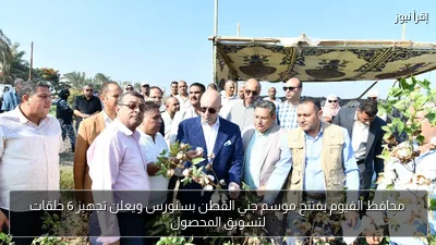 محافظ الفيوم يفتتح موسم جني القطن بسنورس ويعلن تجهيز 6 حلقات لتسويق المحصول