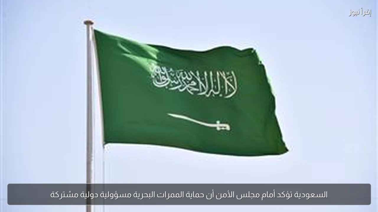 السعودية تؤكد أمام مجلس الأمن أن حماية الممرات البحرية مسؤولية دولية مشتركة