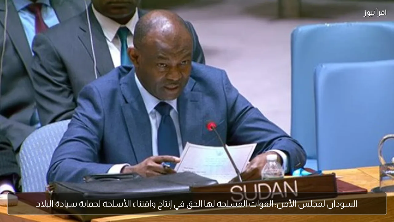 السودان لمجلس الأمن: القوات المسلحة لها الحق في إنتاج واقتناء الأسلحة لحماية سيادة البلاد