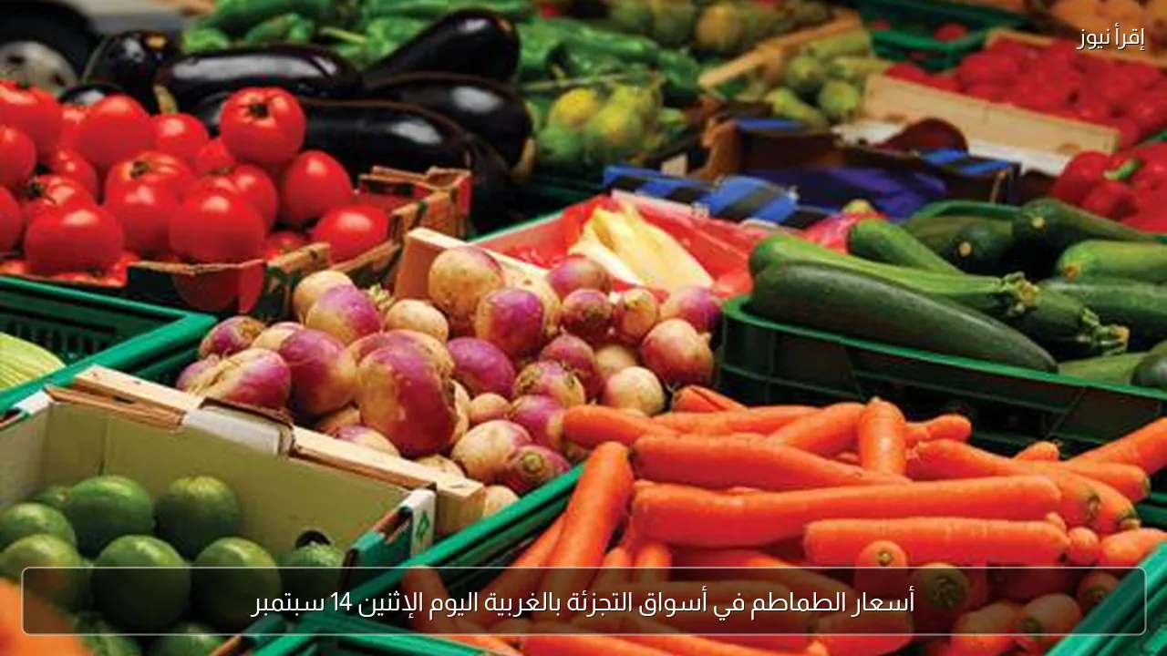 أسعار الطماطم في أسواق التجزئة بالغربية اليوم الإثنين 14 سبتمبر