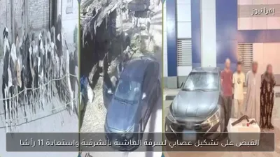 القبض على تشكيل عصابي لسرقة الماشية بالشرقية واستعادة 11 رأسًا