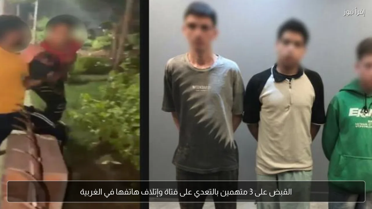 القبض على 3 متهمين بالتعدي على فتاة وإتلاف هاتفها في الغربية