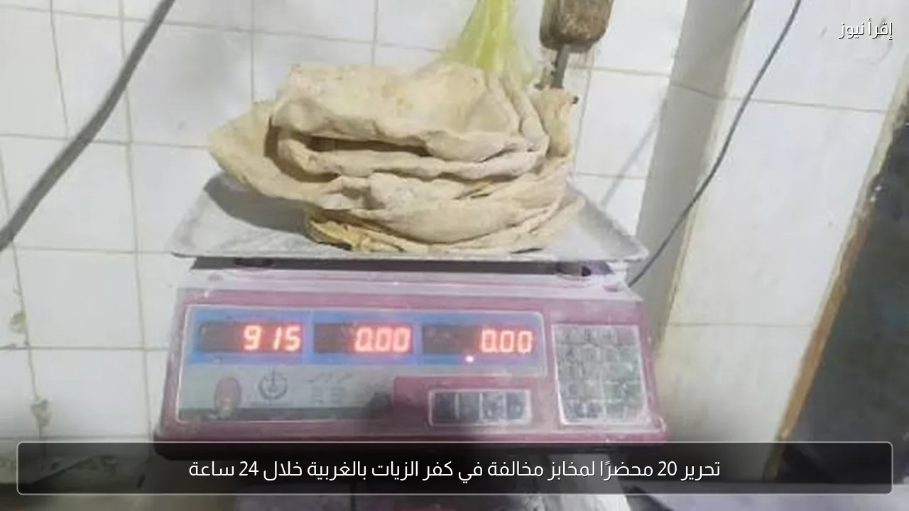 تحرير 20 محضرًا لمخابز مخالفة في كفر الزيات بالغربية خلال 24 ساعة