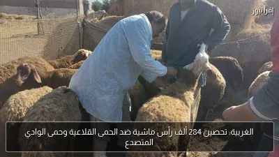 الغربية: تحصين 284 ألف رأس ماشية ضد الحمى القلاعية وحمى الوادي المتصدع