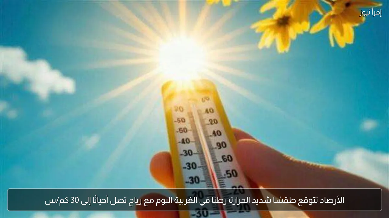 الأرصاد تتوقع طقسًا شديد الحرارة رطبًا في الغربية اليوم مع رياح تصل أحيانًا إلى 30 كم/س