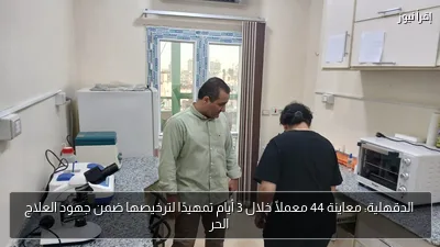 الدقهلية: معاينة 44 معملًا خلال 3 أيام تمهيدًا لترخيصها ضمن جهود العلاج الحر