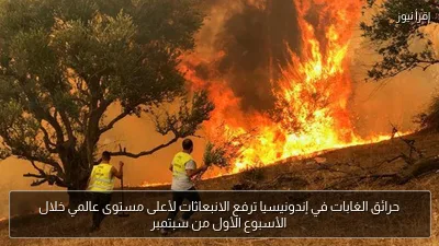 حرائق الغابات في إندونيسيا ترفع الانبعاثات لأعلى مستوى عالمي خلال الأسبوع الأول من سبتمبر