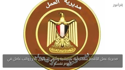 مديرية عمل الأقصر تنفذ حملة تفتيشية وتُنهِي شكوى تأخر رواتب عامل في اليوم نفسه