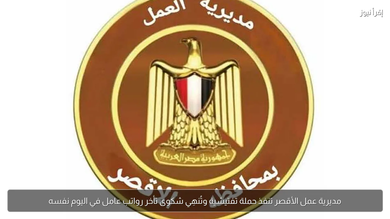 مديرية عمل الأقصر تنفذ حملة تفتيشية وتُنهِي شكوى تأخر رواتب عامل في اليوم نفسه