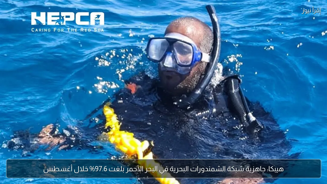 هيبكا: جاهزية شبكة الشمندورات البحرية في البحر الأحمر بلغت 97.6% خلال أغسطس