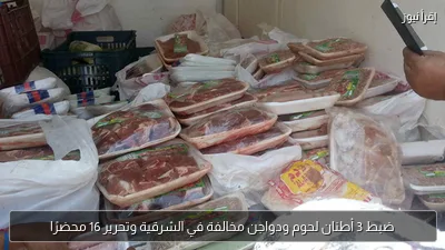ضبط 3 أطنان لحوم ودواجن مخالفة في الشرقية وتحرير 16 محضرًا