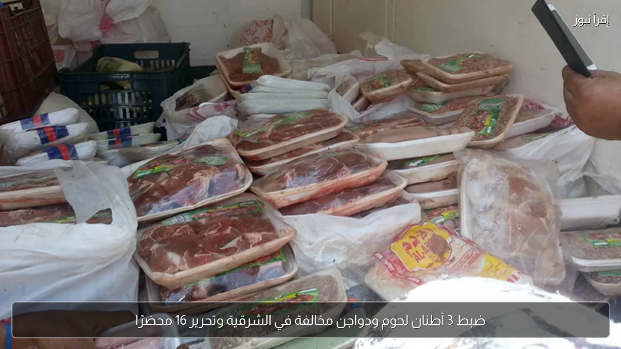 ضبط 3 أطنان لحوم ودواجن مخالفة في الشرقية وتحرير 16 محضرًا