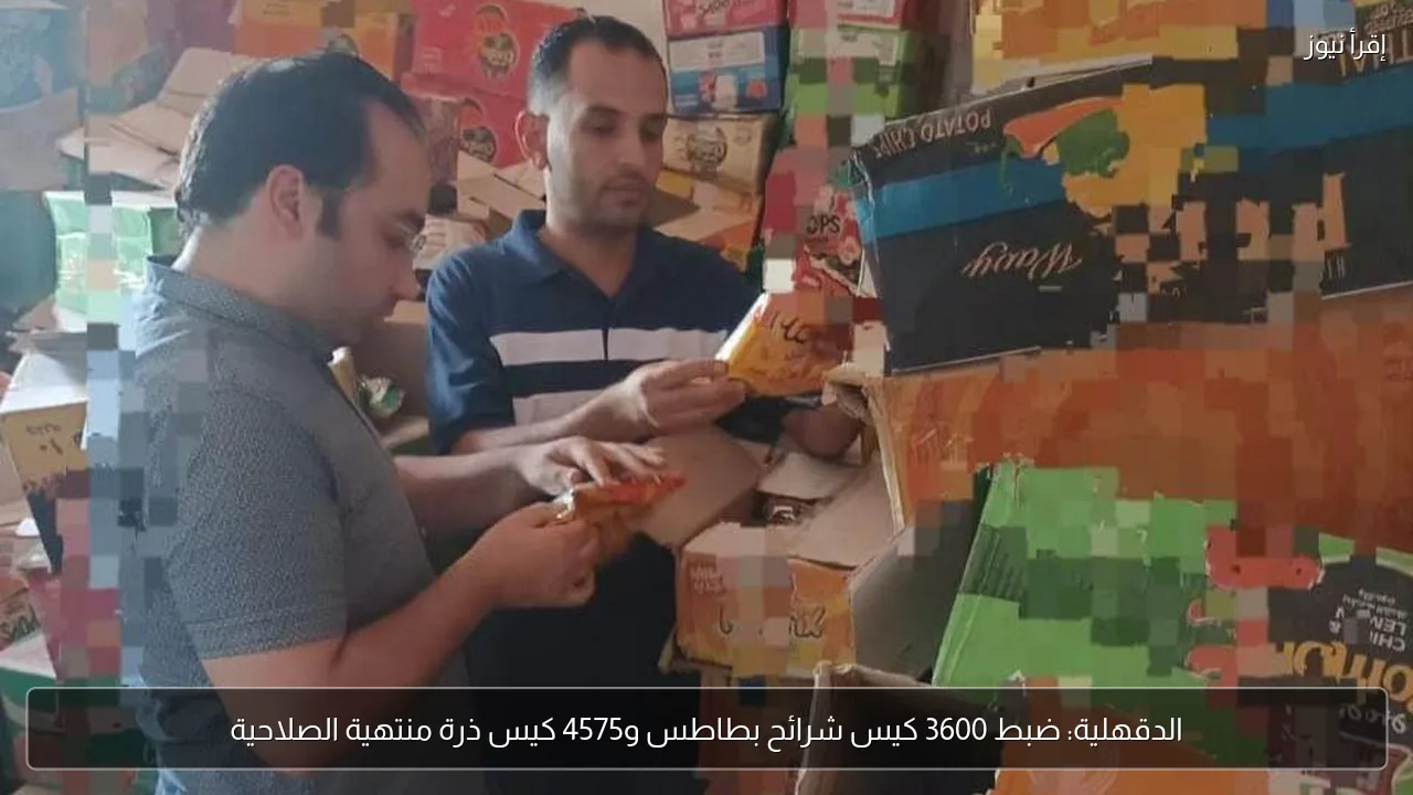 الدقهلية: ضبط 3600 كيس شرائح بطاطس و4575 كيس ذرة منتهية الصلاحية