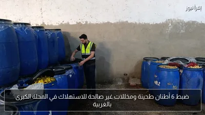 ضبط 6 أطنان طحينة ومخللات غير صالحة للاستهلاك في المحلة الكبرى بالغربية