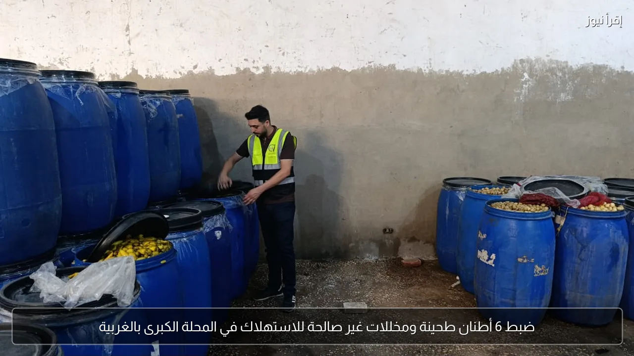 ضبط 6 أطنان طحينة ومخللات غير صالحة للاستهلاك في المحلة الكبرى بالغربية
