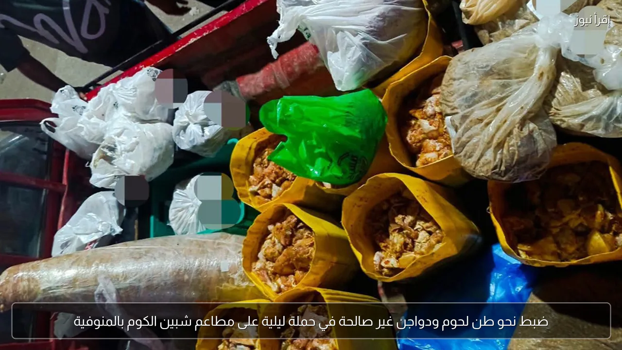 ضبط نحو طن لحوم ودواجن غير صالحة في حملة ليلية على مطاعم شبين الكوم بالمنوفية
