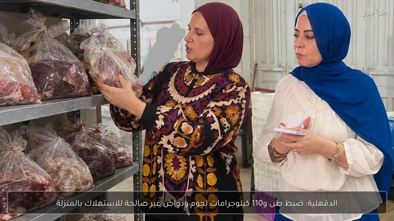 الدقهلية: ضبط طن و110 كيلوجرامات لحوم ودواجن غير صالحة للاستهلاك بالمنزلة