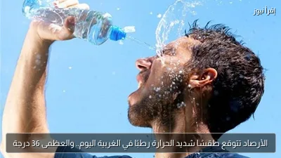 الأرصاد تتوقع طقسًا شديد الحرارة رطبًا في الغربية اليوم.. والعظمى 36 درجة
