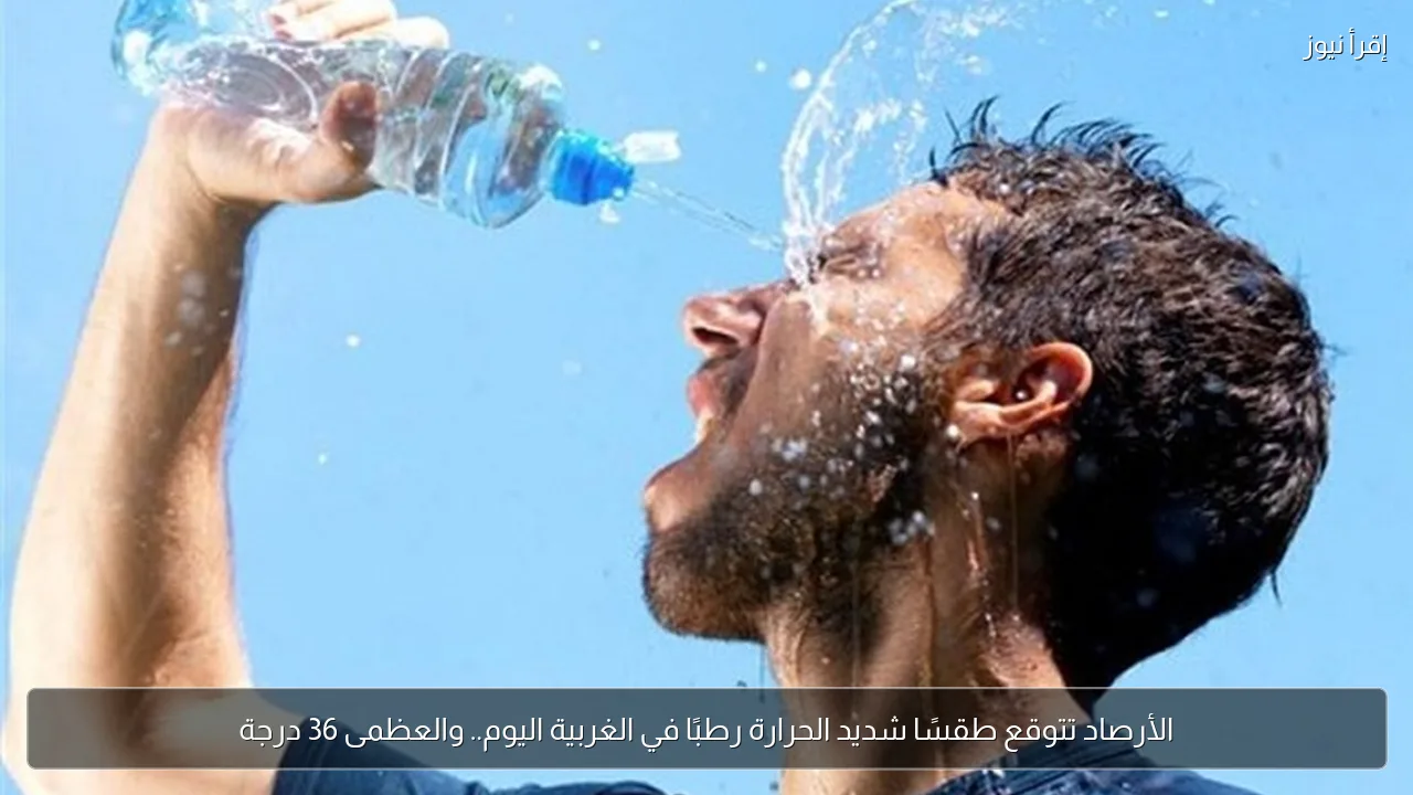 الأرصاد تتوقع طقسًا شديد الحرارة رطبًا في الغربية اليوم.. والعظمى 36 درجة