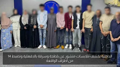 الداخلية تكشف ملابسات منشور عن بلطجة وسرقة بالدقهلية وتضبط 14 من أطراف الواقعة