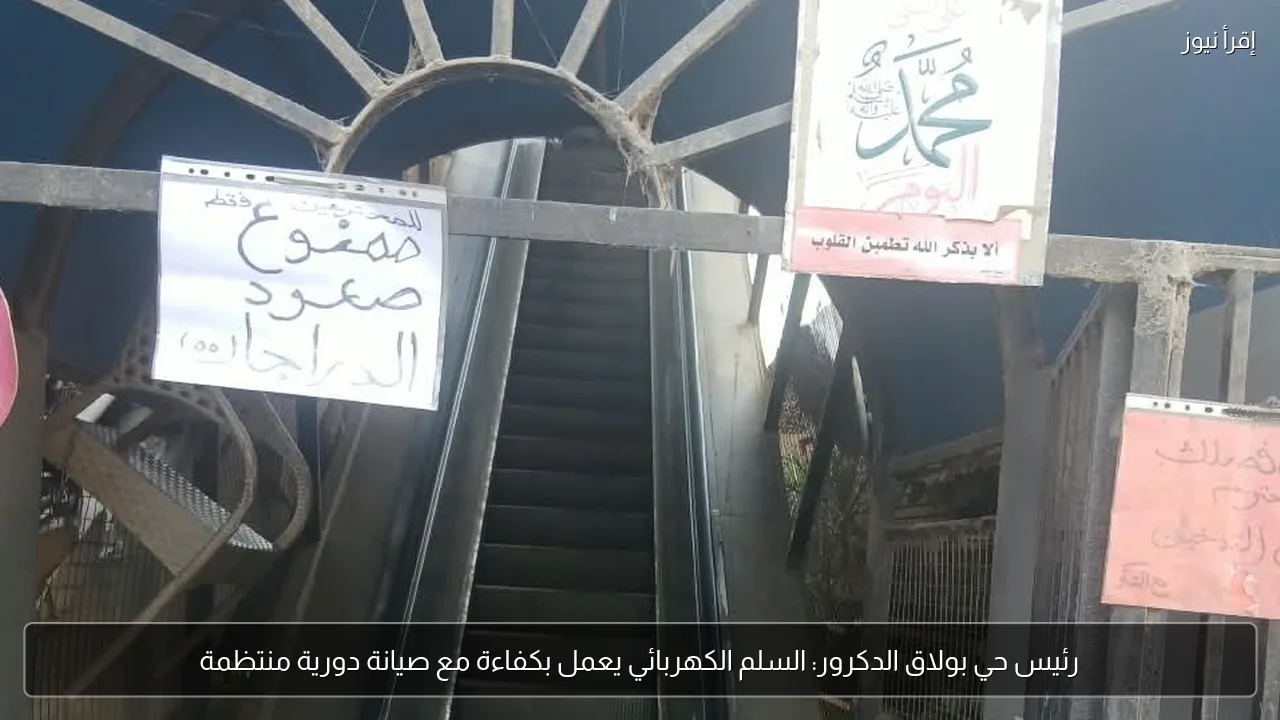 رئيس حي بولاق الدكرور: السلم الكهربائي يعمل بكفاءة مع صيانة دورية منتظمة