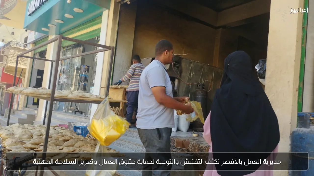 مديرية العمل بالأقصر تكثف التفتيش والتوعية لحماية حقوق العمال وتعزيز السلامة المهنية