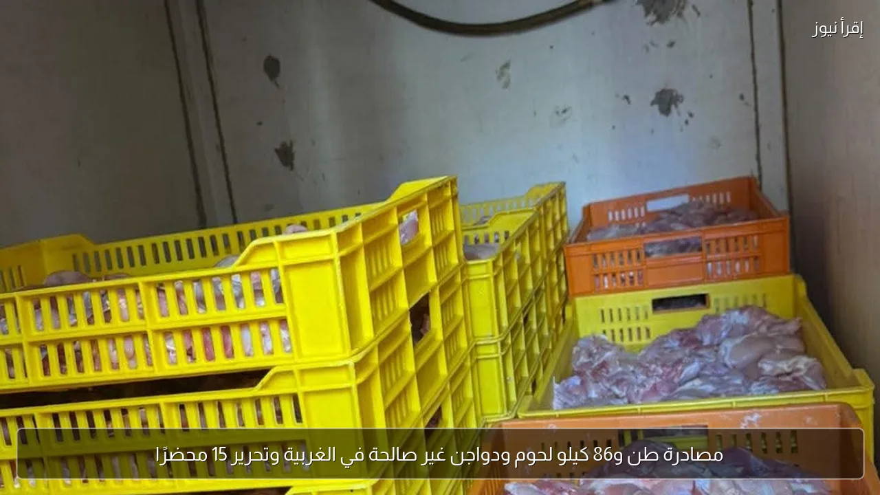 مصادرة طن و86 كيلو لحوم ودواجن غير صالحة في الغربية وتحرير 15 محضرًا