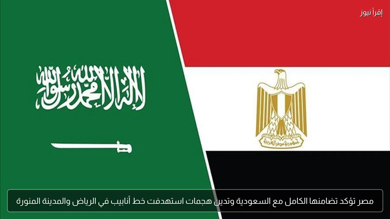 مصر تؤكد تضامنها الكامل مع السعودية وتدين هجمات استهدفت خط أنابيب في الرياض والمدينة المنورة