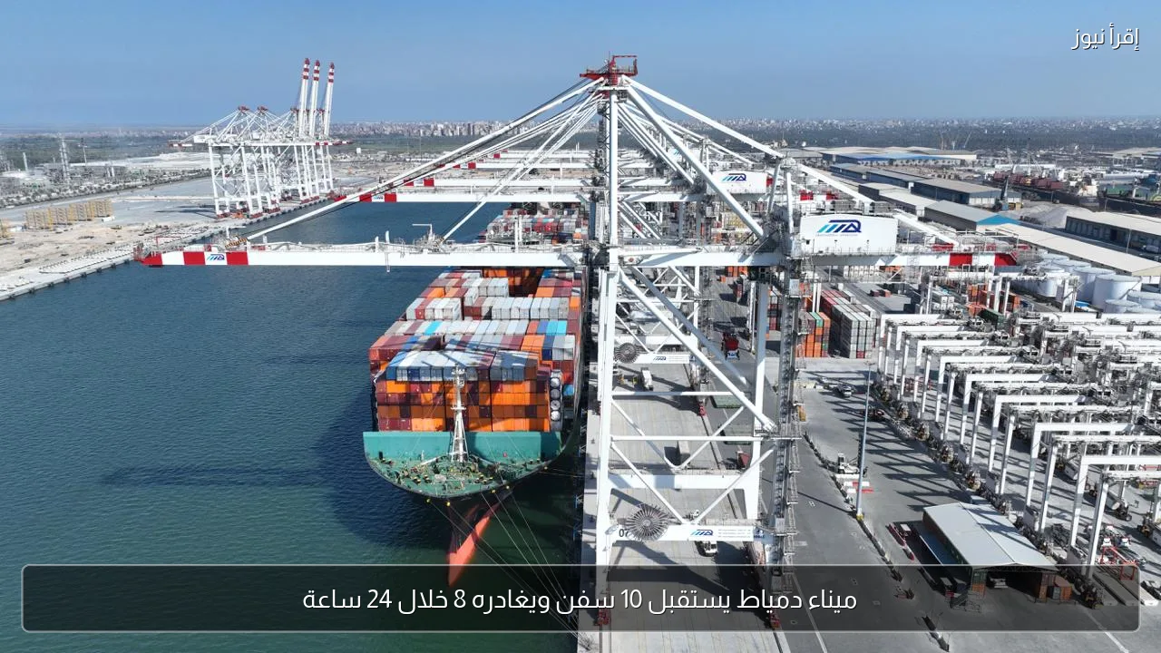 ميناء دمياط يستقبل 10 سفن ويغادره 8 خلال 24 ساعة