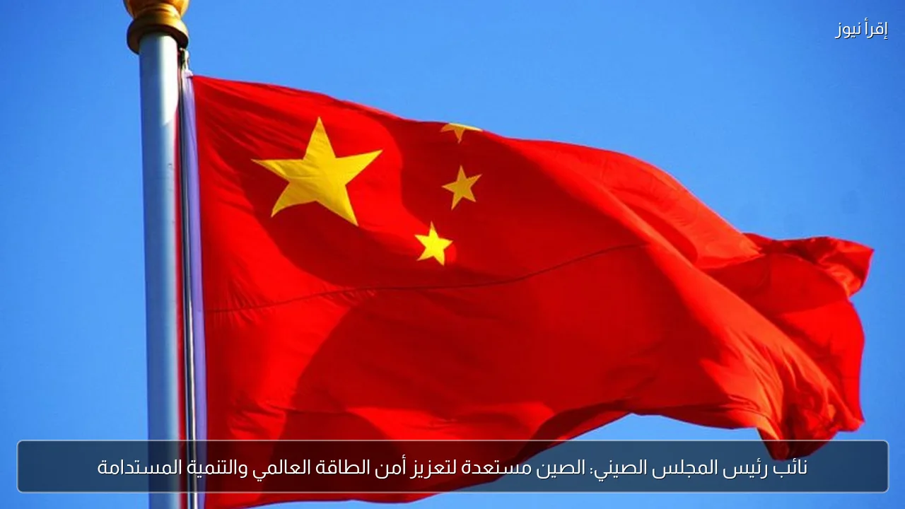 نائب رئيس المجلس الصيني: الصين مستعدة لتعزيز أمن الطاقة العالمي والتنمية المستدامة
