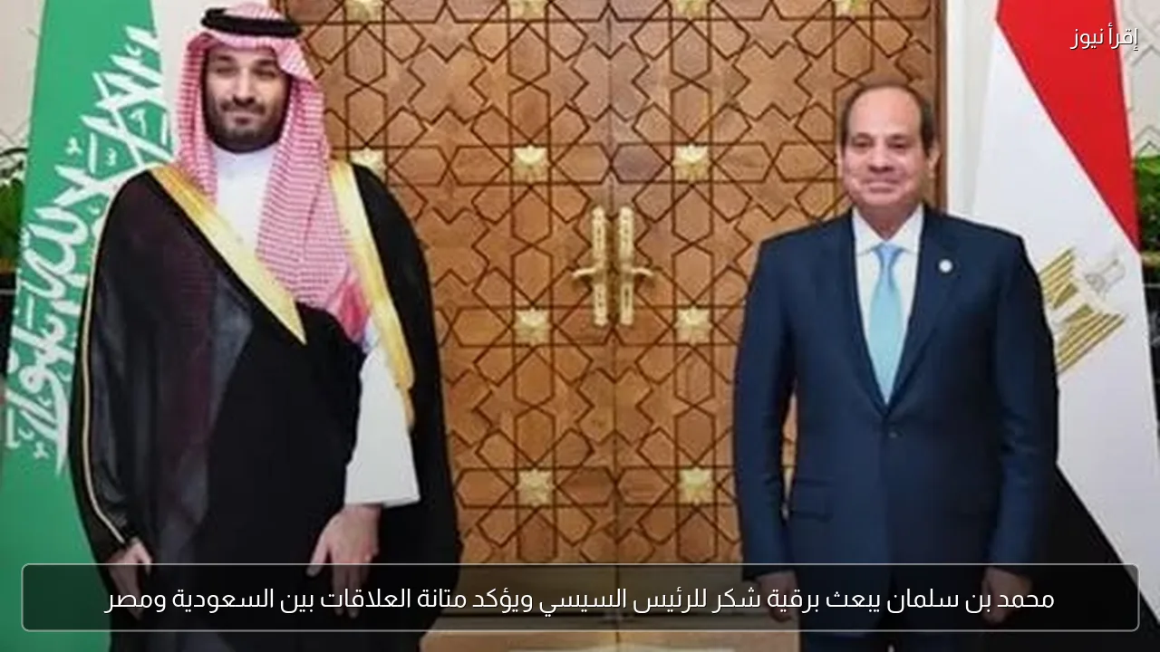 محمد بن سلمان يبعث برقية شكر للرئيس السيسي ويؤكد متانة العلاقات بين السعودية ومصر