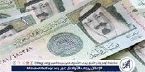 استقرار سعر الريال السعودي أمام الجنيه المصري اليوم الإثنين: 11 نوفمبر 2024 - إقرأ نيوز