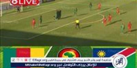 مشاهدة بث مباشر مباراة ناميبيا ضد الكاميرون، يلا شوت في تصفيات كأس أمم إفريقيا - إقرأ نيوز