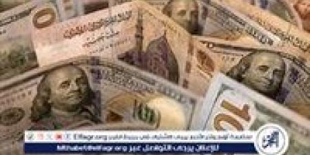 استقرار سعر الدولار مقابل الجنيه المصري اليوم الإثنين 18 نوفمبر 2024 - إقرأ نيوز