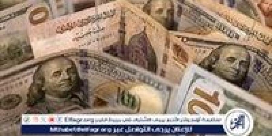 استقرار سعر الدولار مقابل الجنيه المصري اليوم: آخر تحديثات أسعار الصرف في البنوك المصرية - إقرأ نيوز