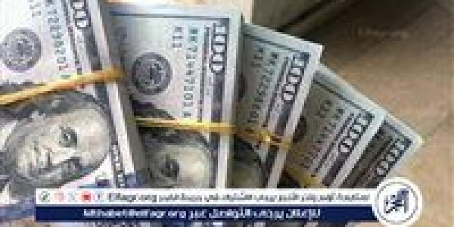 استقرار سعر الدولار أمام الجنيه المصري في تعاملات الخميس 14 نوفمبر 2024 - إقرأ نيوز