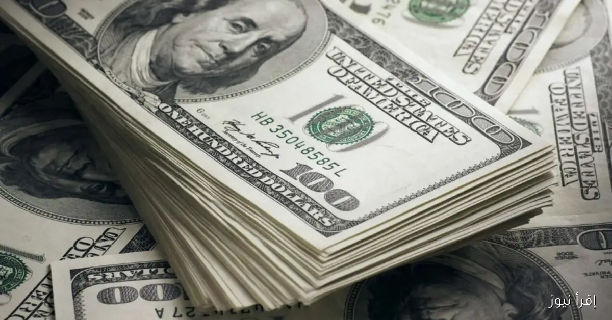 سعر الدولار 1 1